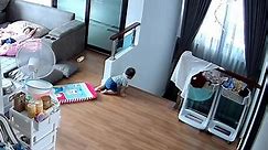 Sister saves her little brother from falling down the stairs