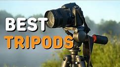 Best Tripods in 2021 - Top 5 Tripods