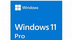 Microsoft Windows 11 Pro - OEM DVD 64-bit English (1 Pack) | FQC-10528 | Windows | Microsoft