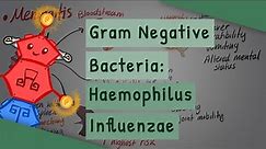 Gram Negative Bacteria: Haemophilus influenzae
