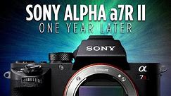 Sony Alpha a7R II Mirrorless Camera One Year Later