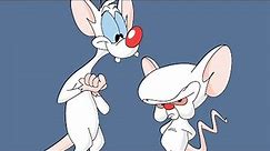 Pinky and the Brain [Intro]