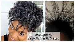 2022 Natural Hair Update + Photos - Hair Loss & Gray Hair - 4C Hair/Type 4 Hair HD 1080p