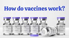Unlocking Vaccine Secrets: 10 Fascinating Facts You Didn't Know About Vaccines!