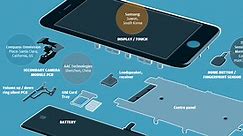 See Every Single Part Inside an iPhone