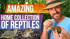 The BEST Reptile COLLECTION I’ve Ever Seen!