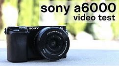 sony a6000 video test & vlogging test (kit lens)