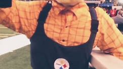 Pittsburgh Steelers Mascot Steely MeBeam (NFL Facts)🏈