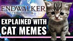 The Story of FFXIV Endwalker Explained With Cat Memes