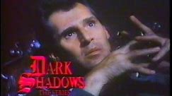 Dark Shadows (1991) - NBC ephemera