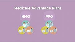 Choosing Between a Medicare Supplement and a Medicare Advantage Plan