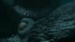 Megalodon vs Kraken - The Meg 2 Fight Scene - No ClickBait!