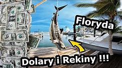 FLORYDA - Jak tu Jest? !!! - Dzikie Pelikany, Rekiny i Ogromne Tarpony! *Podróż do USA (Vlog 883)