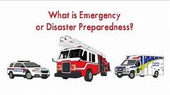 What is emergency or disaster preparedness?