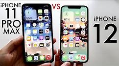 iPhone 11 Pro Max Vs iPhone 12 In 2022! (Comparison) (Review)