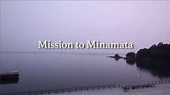Mission to Minamata