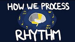 How We Process Rhythm | Neuroscience for Musicians