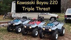 Kawasaki Bayou 220 Again