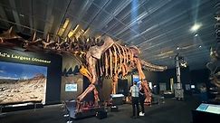 The world's largest dinosaur has arrived in Queensland | ABC Radio Brisbane