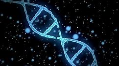 DNA vs. RNA: The Key Differences