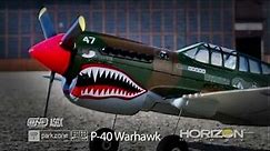 Ultra Micro P-40 Warhawk BNF with AS3X® Technology by ParkZone