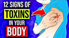 12 Warning Signs Your Body Is Suffering From Toxin Overload!
