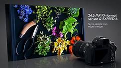 Nikon Z 6: Product Tour
