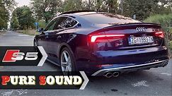 2017 Audi S5 Startup Sound & Revs/ Stock Exhaust SOUND (Pops, Crackles)