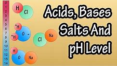 Acids And Bases Salts And pH Level - What Are Acids Bases And Salts - What Is The pH Scale Explained
