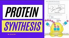PROTIEN SYNTHESIS EXPLAINED (DNA CODE OF LIFE): GRADE 12 LIFE SCIENCES BY M.SAIDI THUNDEREDUC