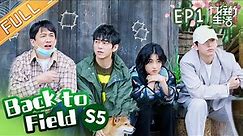 "Back to Field S5" EP1: A live-action 'Animal Crossing'? The director is cheated by Lay Zhang!丨MGTV