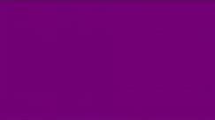 Purple Screen | A Screen of Pure Purple For 10 Hours | Background | Backdrop | Screensaver | Full HD