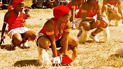 INDLAMU Kwazulu Natal Best Zulu Dance (Must Watch) - video Dailymotion