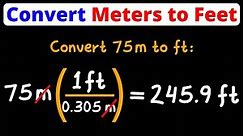 Convert Meters to Feet | m to ft | Unit Conversion | Dimensional Analysis | Eat Pi