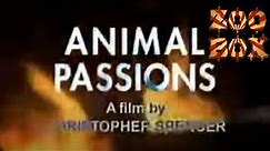 Zoo Box, Episode 68 - ANIMAL PASSIONS (Zoophilia Documentary) WATCH-A-LONG