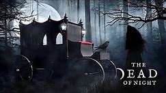Vampire Forest Ambience 🧛🦇⚰️ | Gothic Carriage, Dark Forest, Spooky Evening Atmosphere