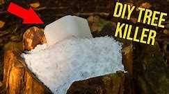 How to Make a Homemade Tree and Stump Killer: 6 Simple Recipes