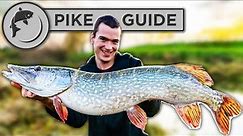 A Beginners Guide To Pike Fishing - Tactics, Bait, Lures, Rigs, and Unhooking