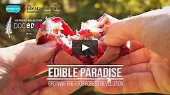 EDIBLE PARADISE | GROWING THE FOOD FOREST REVOLUTION