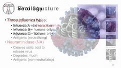 Influenza: Epidemiology and Viral Structure