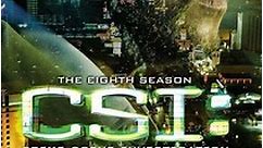 CSI: Kryminalne zagadki Las Vegas Sezon 8 oglądaj wszystkie odcinki online