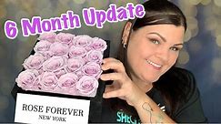 Rose Forever New York // 6 MONTH UPDATE // Roses that last for at least ONE YEAR!!!