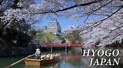 HYOGO JAPAN in 8K [Winter Spring] - 兵庫