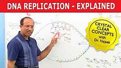 DNA Replication | RNA | Nucleotide | Cell Biology | Genetics🧬