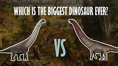 What was actually THE biggest dinosaur?...