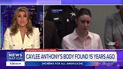 Casey Anthony's attorney is 'misleading the country,' crime scene investigator says | Banfield