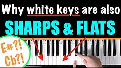 Why ALL Piano keys are sharps and flats 🎹