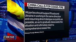 China Calls for Cease-Fire in Ukraine