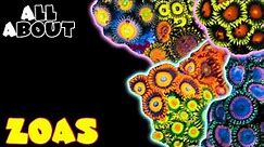 All About Zoas