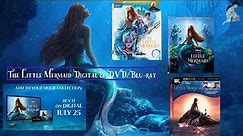 The Little Mermaid 2023 Digital and Blu-ray and DVD
